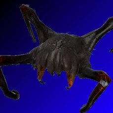 Crabe de tête poison